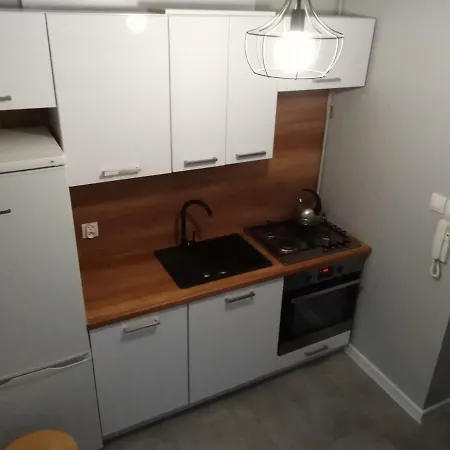 Apartament Merlin - Sg 公寓